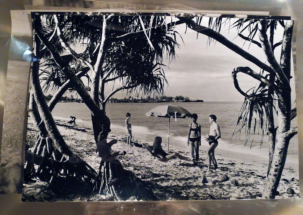 Black and white photo of 'palm-fringed beach' postcard
