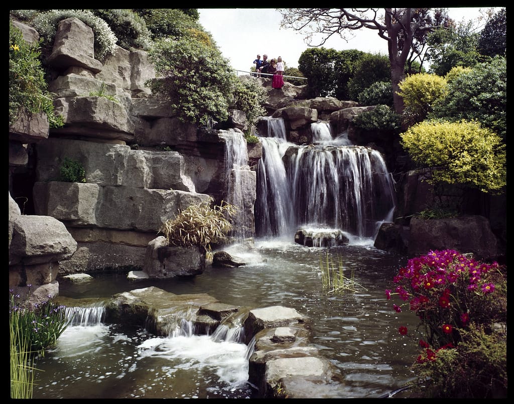 Original and official John Hinde Edition Print