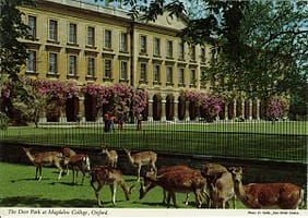 2ox7