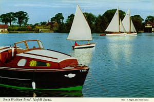 nf30