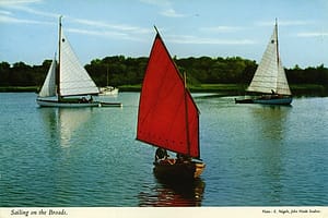 nf36