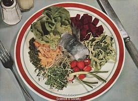 Plate with fish surrounded by vegetables, 1941 Plate with fish surrounded by vegetables, 1941