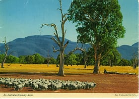 aus78