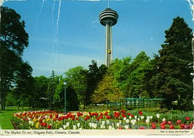tor47
