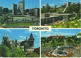 tor65