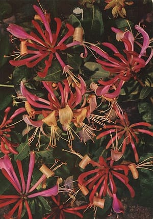 1204