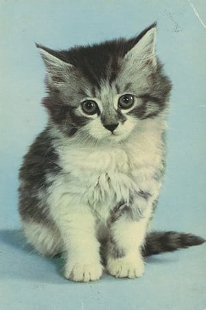 1044