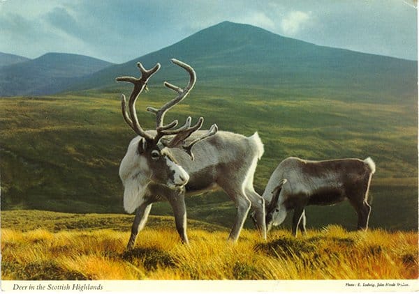 Scotland